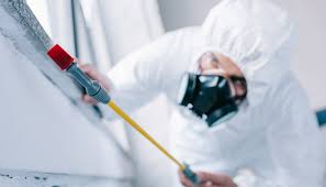 Professional Pest Control in New Milford, NJ